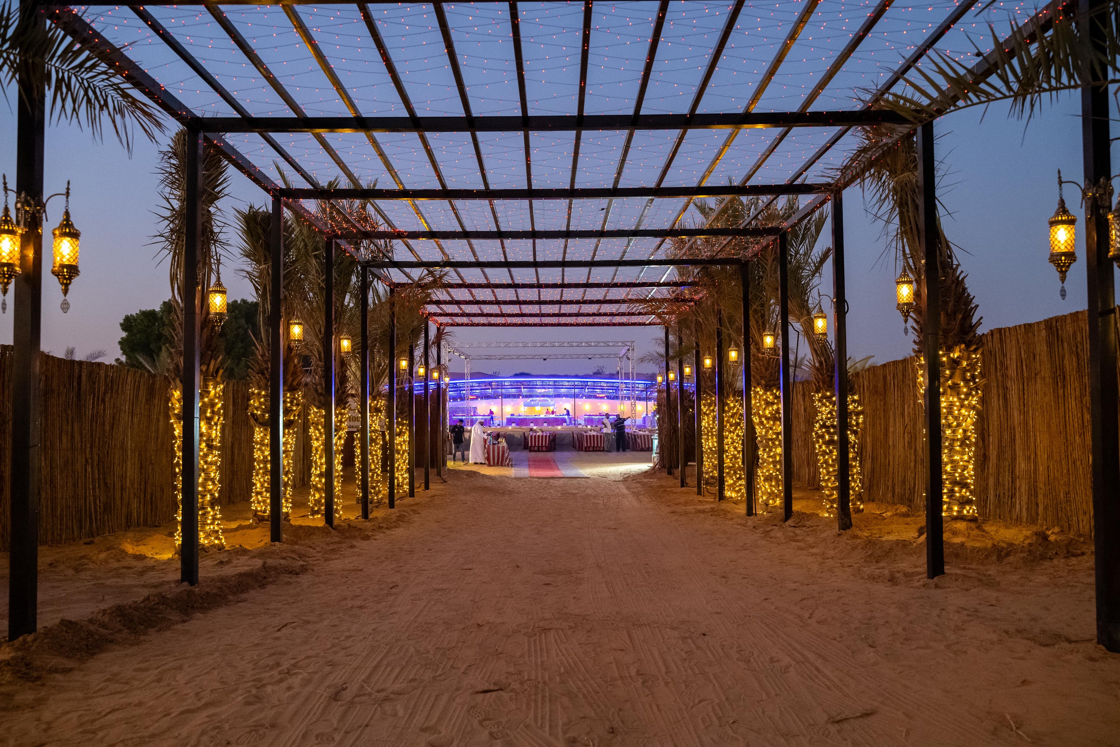 Royal Vision Premium Desert Safari