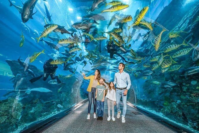 Half Day Dubai City Tour